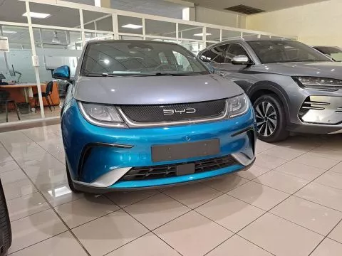 BYD DOLPHIN BYD DOLPHIN DESIGN BYD DOLPHIN BYD DOLPHIN DESIGN
