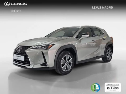 Lexus UX 300e Business