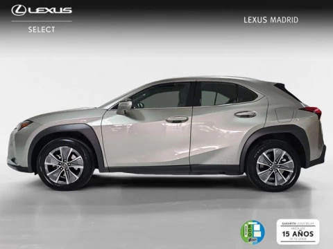 Lexus UX 300e Business