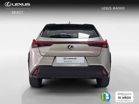 Lexus UX 300e Business