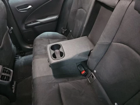 Lexus UX 300e Business
