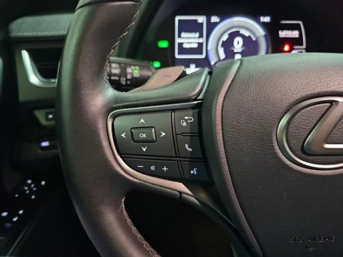 Lexus UX 300e Business