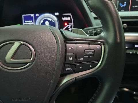 Lexus UX 300e Business