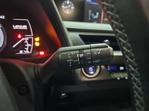 Lexus UX 300e Business