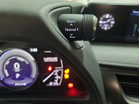 Lexus UX 300e Business