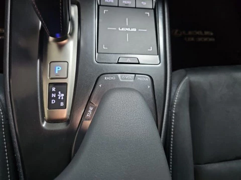 Lexus UX 300e Business