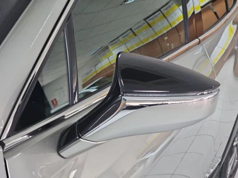 Lexus UX 300e Business