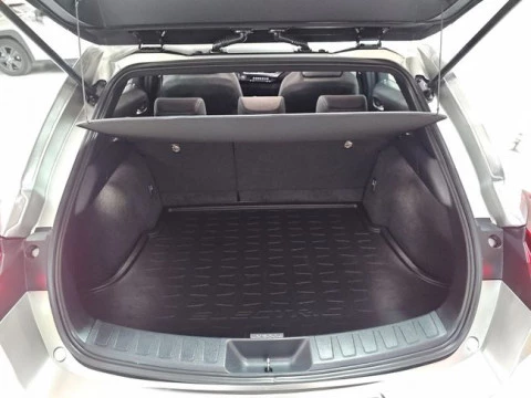 Lexus UX 300e Business