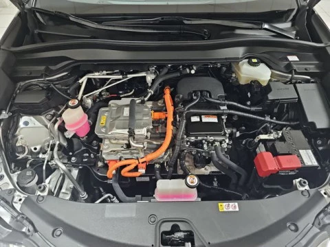 Lexus UX 300e Business
