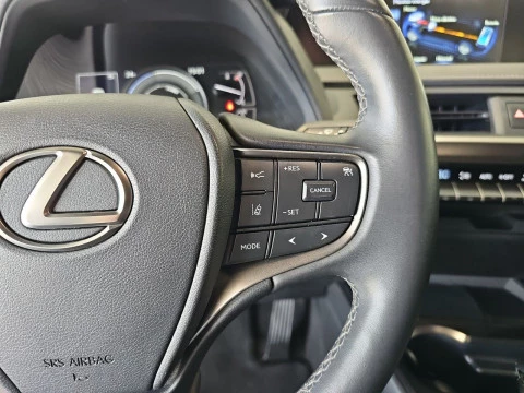 Lexus UX 2.0 250h Business