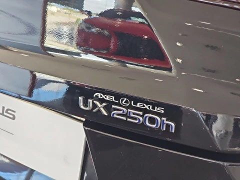 Lexus UX 2.0 250h Business