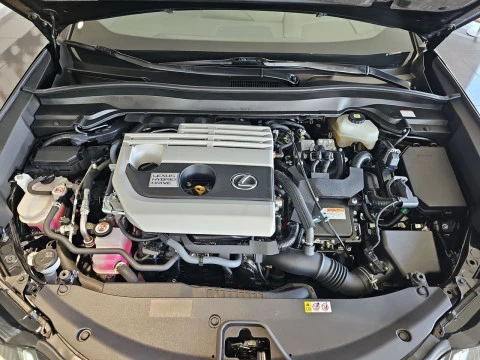 Lexus UX 2.0 250h Business