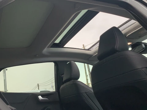 Ford Puma 1.0 EcoBoost 155cv Titanium X MHEV Auto