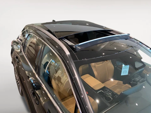 Lexus RX 450h+ Business