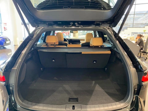 Lexus RX 450h+ Business