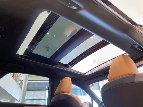 Lexus RX 450h+ Business