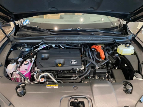 Lexus RX 450h+ Business