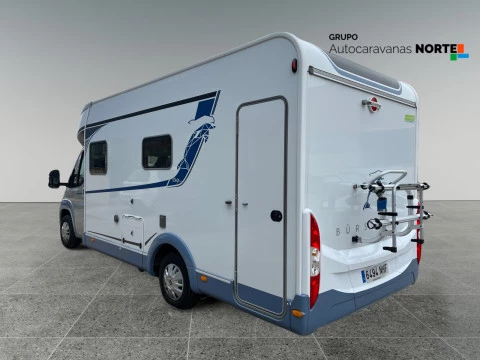 BURSTNER T666 DELFIN T680