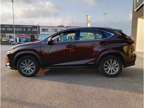 Lexus NX SUV BUSINESS 2.5 Híbrido Gasolina (197CV) Transmis