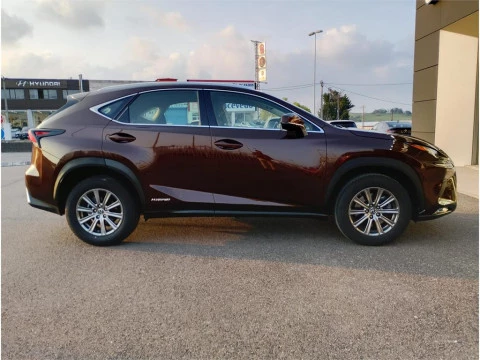 Lexus NX SUV BUSINESS 2.5 Híbrido Gasolina (197CV) Transmis
