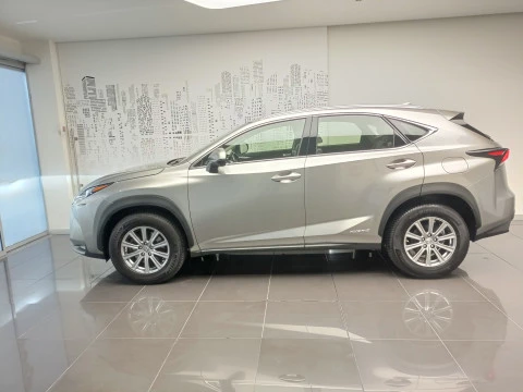 Lexus NX 2.5 300h Business Navigation 2WD Lexus NX 2.5 300h Business Navigation 2WD