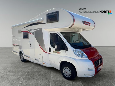 CHALLENGER BIRTHDAY C286