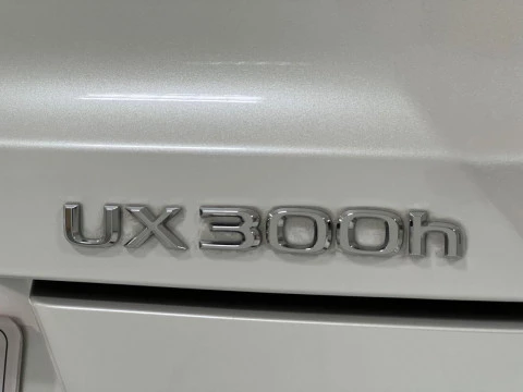 Lexus UX 2.0 300h UX Plus