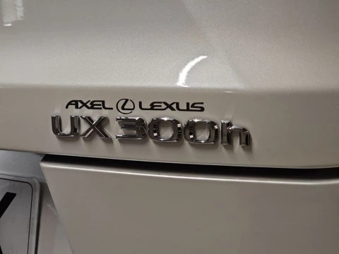Lexus UX 2.0 300h UX Plus