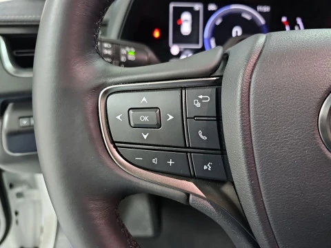 Lexus UX 2.0 300h UX Plus