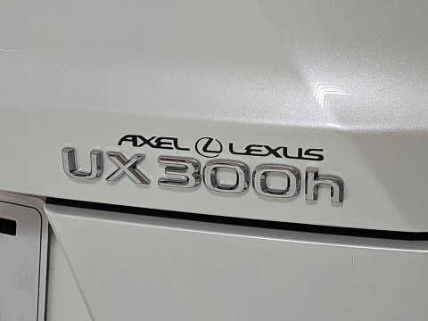 Lexus UX 2.0 300h UX Plus