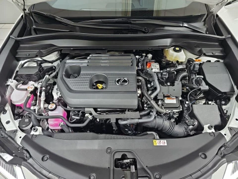 Lexus UX 2.0 300h UX Plus