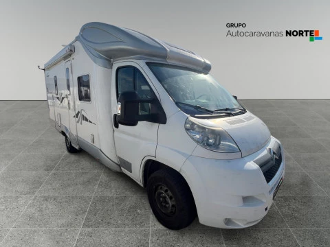 GIOTTILINE T 36 THERRY T36