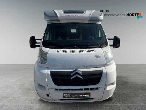 GIOTTILINE T 36 THERRY T36