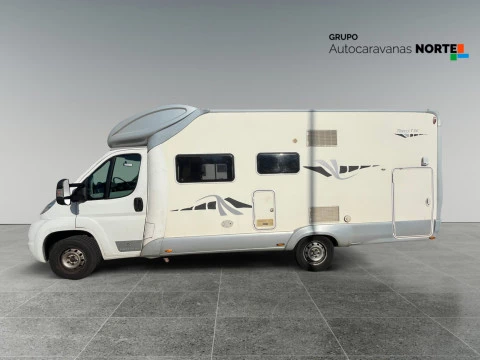 GIOTTILINE T 36 THERRY T36