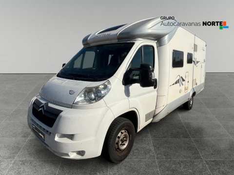 GIOTTILINE T 36 THERRY T36