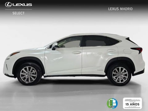 Lexus NX 2.5 300h Business Navigation 2WD