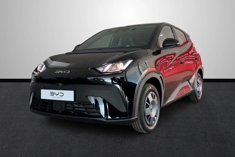 BYD Dolphin Surf Active