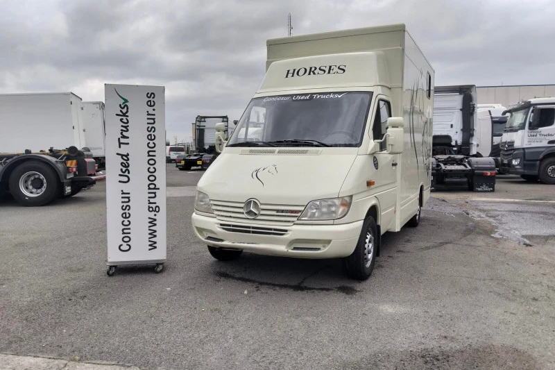 Mercedes-Benz Sprinter TRANSPORTE CABALLOS 