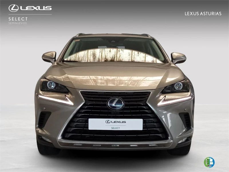 Lexus NX SUV BUSINESS 2.5 Híbrido Gasolina (197CV) Transmis