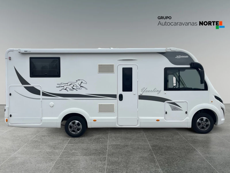 MCLOUIS NESS 80 NESS 80 YEARLING 20 ANIVERSARIO