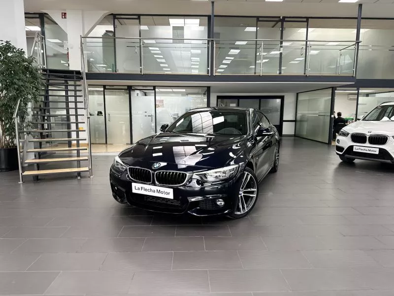 BMW Serie 4 420d xDrive Auto. Gran Coupe BMW Serie 4 420d xDrive Auto. Gran Coupe