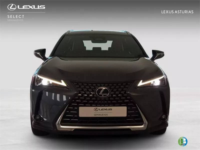 Lexus UX + Lexus UX +