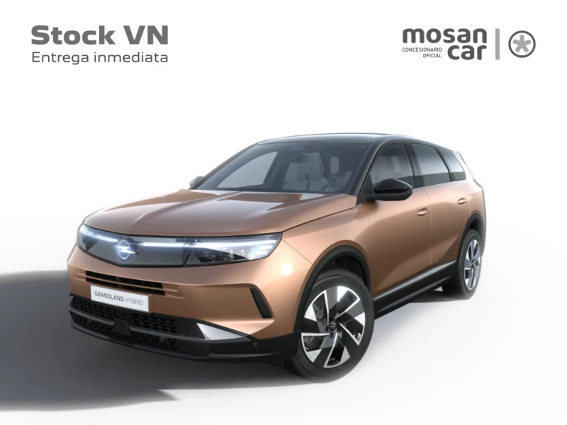 Opel Grandland Electric 73kWh GS