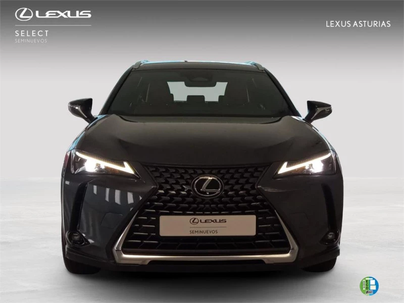 Lexus UX + Lexus UX +