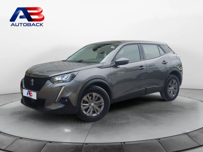 Peugeot 2008 Active Pack BlueHDI 81kW (110CV)