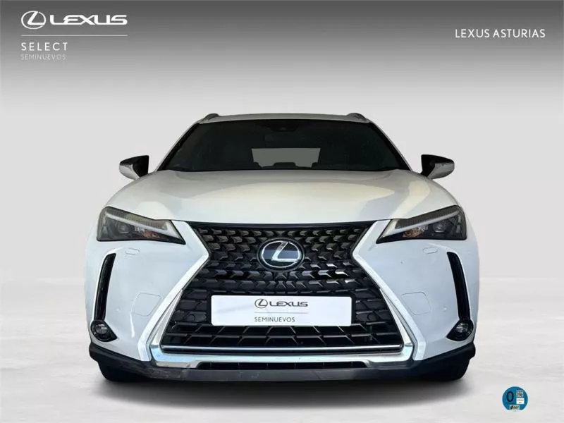 Lexus UX BUSINESS CITY