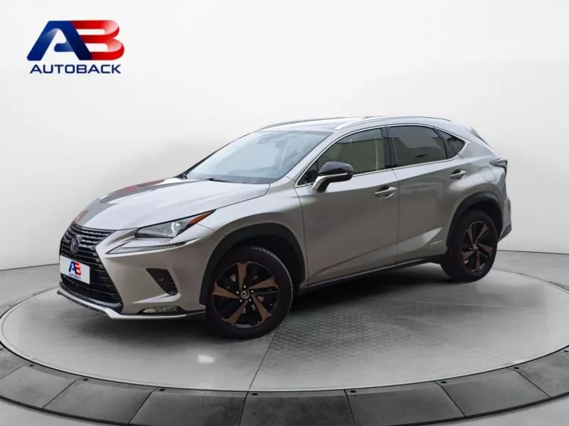 Lexus NX 2.5 300h Premium Plus 4WD
