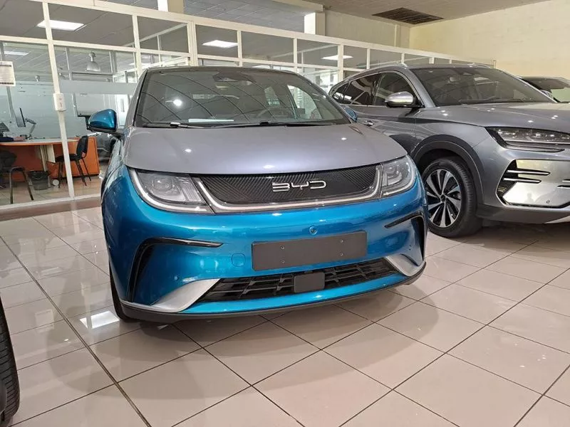 BYD DOLPHIN BYD DOLPHIN DESIGN BYD DOLPHIN BYD DOLPHIN DESIGN