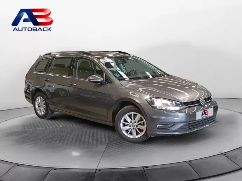 Volkswagen Golf Last Edition 1.6 TDI 85kW(115CV) Variant Volkswagen Golf Last Edition 1.6 TDI 85kW(115CV) Variant