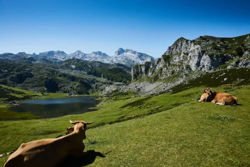 Paisaje del norte de España